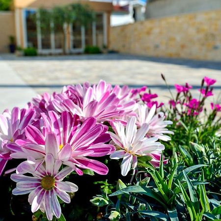 Villa Karla Zadar Dış mekan fotoğraf