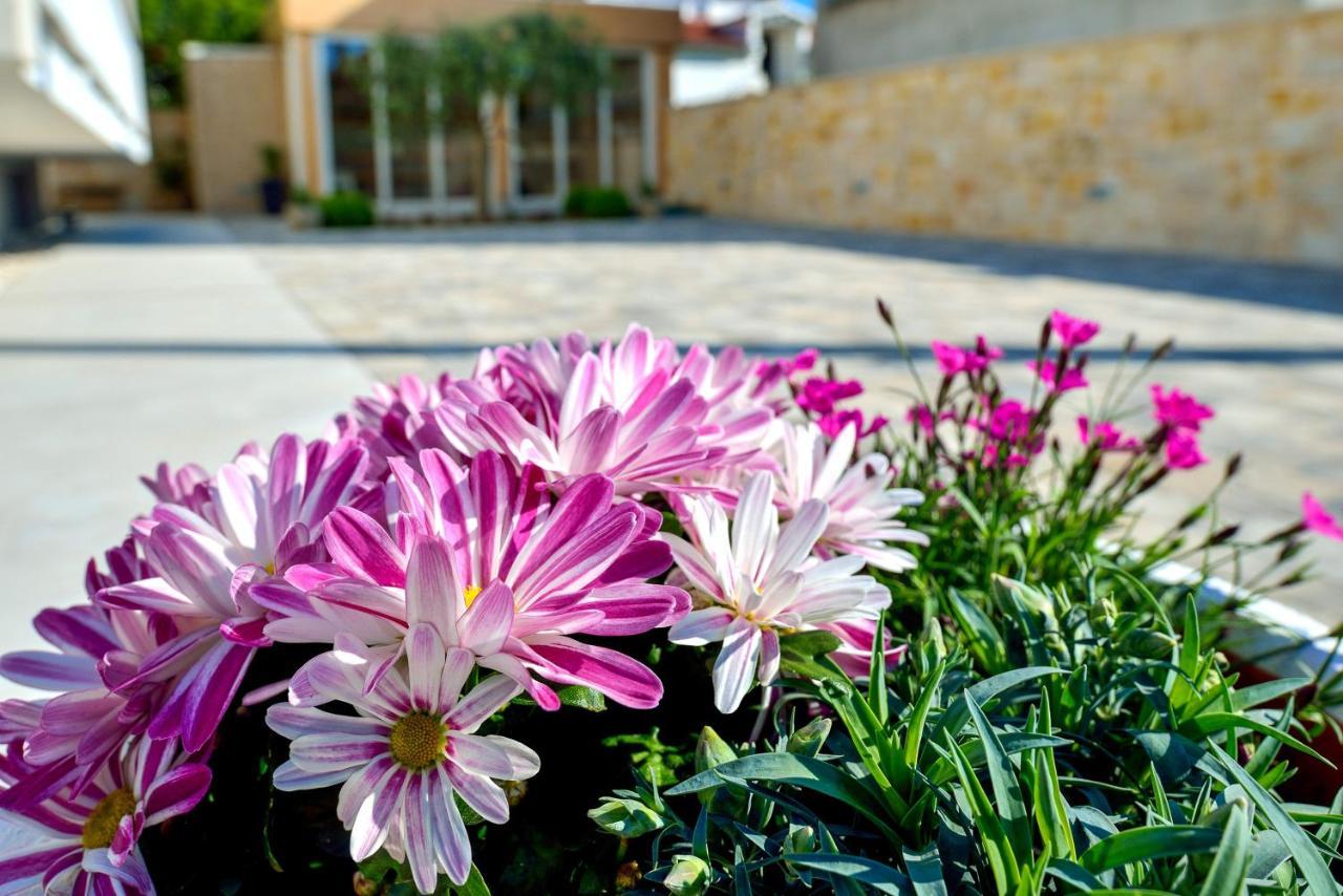 Villa Karla Zadar Dış mekan fotoğraf